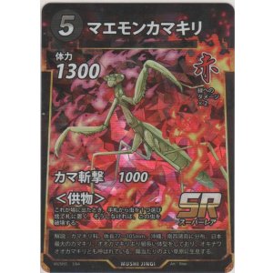 画像: マエモンカマキリ