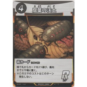 画像: ヨーロッパミヤマクワガタ