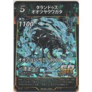 画像: タランドゥスオオツヤクワガタ