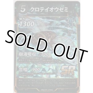 画像: クロテイオウゼミ