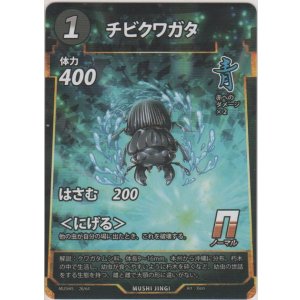 画像: 黒銀蜘蛛の糸
