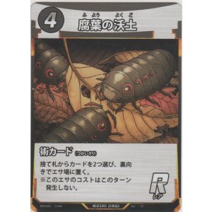 画像: 腐葉の沃土