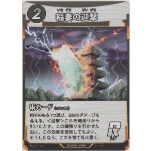 画像: 稲妻の迎撃