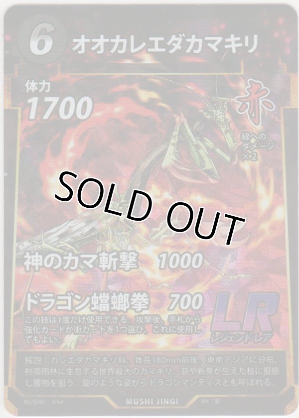 画像1: オオカレエダカマキリ