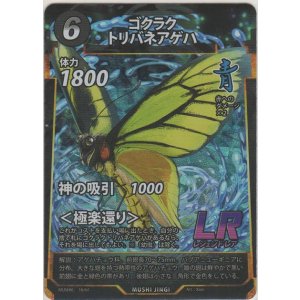 画像: ゴクラクトリバネアゲハ