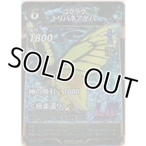 画像: ゴクラクトリバネアゲハ