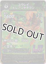 画像: ユウレイヒレアシナナフシ