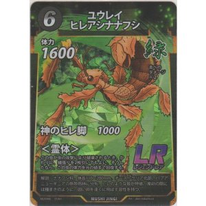 画像: ユウレイヒレアシナナフシ