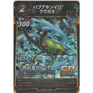 画像: パプアキンイロクワガタ