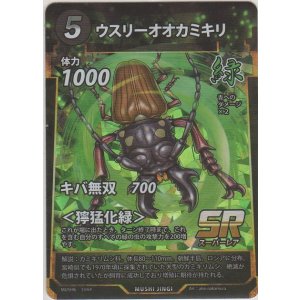 画像: ウスリーオオカミキリ