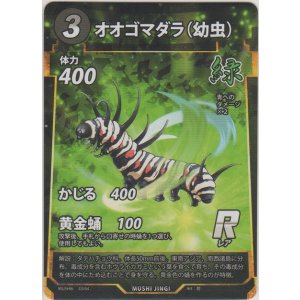 画像: オオゴマダラ（幼虫）