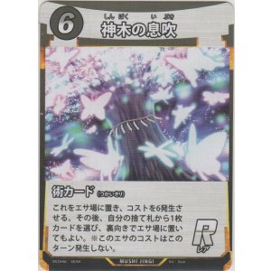 画像: 神木の息吹
