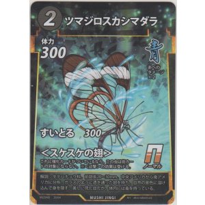 画像: ツマジロスカシマダラ