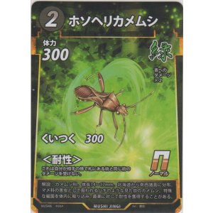 画像: ホソヘリカメムシ