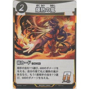 画像: 爆熱の嵐