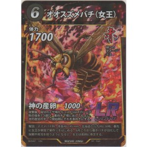 画像: オオスズメバチ（女王）