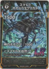 画像: スマトラオオヒラクワガタ