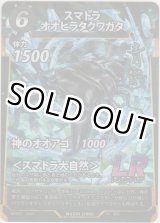 画像: スマトラオオヒラクワガタ