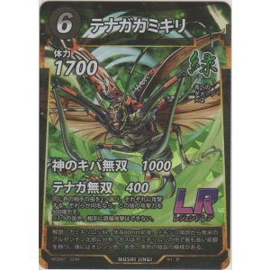 画像: テナガカミキリ