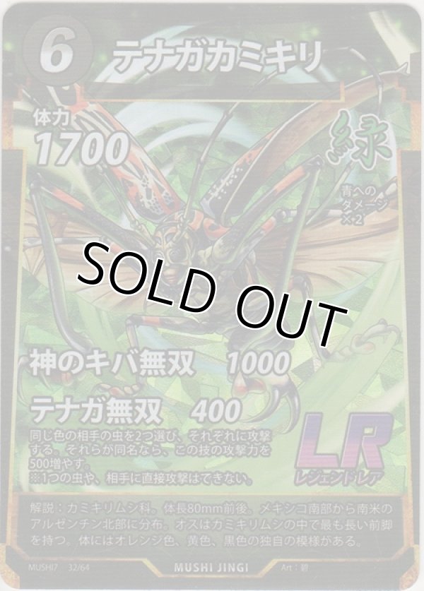 画像1: テナガカミキリ