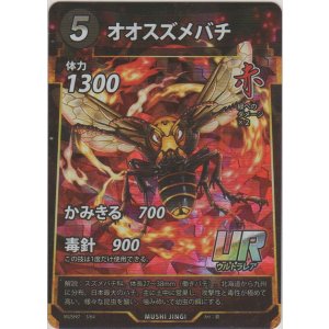 画像: オオスズメバチ