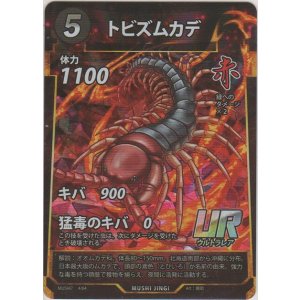 画像: トビズムカデ