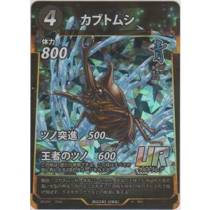 画像: カブトムシ