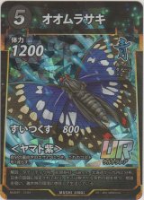 画像: オオムラサキ