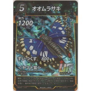 画像: オオムラサキ