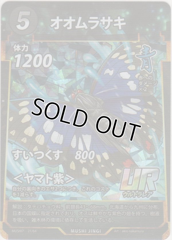 画像1: オオムラサキ