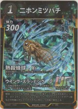 画像: ニホンミツバチ