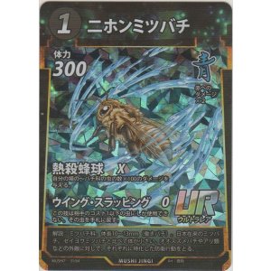 画像: ニホンミツバチ