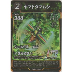 画像: ヤマトタマムシ