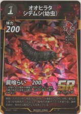 画像: オオヒラタシデムシ（幼虫）