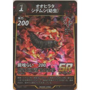 画像: オオヒラタシデムシ（幼虫）