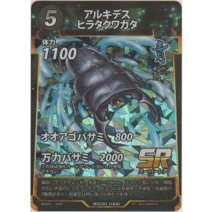 画像: アルキデスヒラタクワガタ