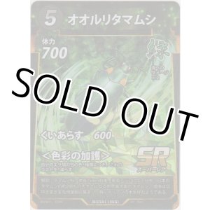 画像: オオルリタマムシ