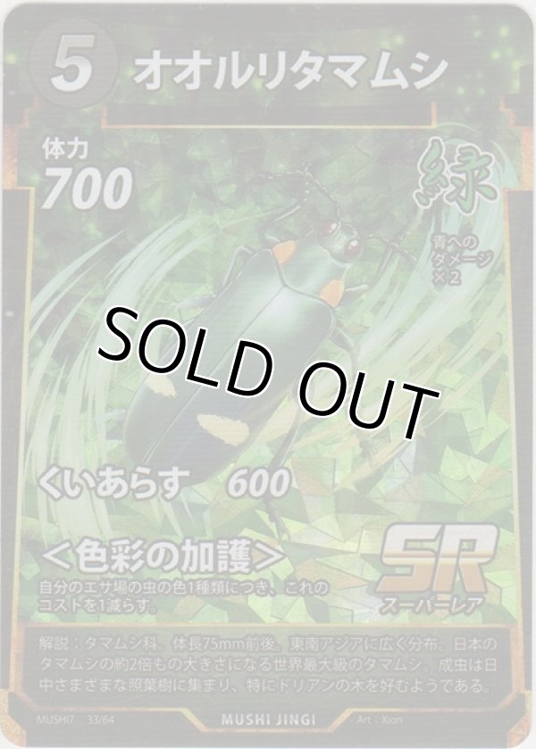 画像1: オオルリタマムシ