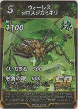 画像: ウォーレスシロスジカミキリ