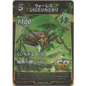 画像: ウォーレスシロスジカミキリ