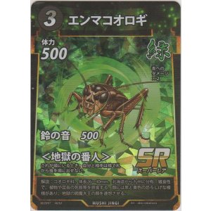 画像: エンマコオロギ