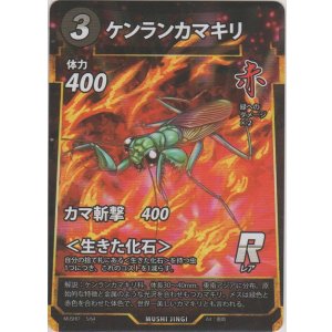 画像: ケンランカマキリ