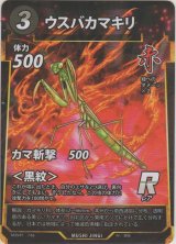 画像: ウスバカマキリ