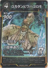 画像: ユカタンビワハゴロモ