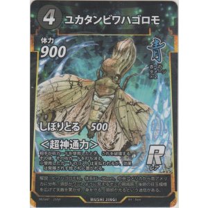 画像: ユカタンビワハゴロモ