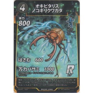 画像: オキピタリスノコギリクワガタ