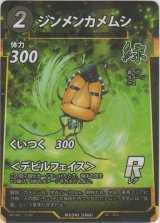 画像: ジンメンカメムシ