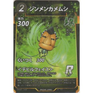 画像: ジンメンカメムシ