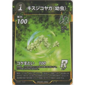 画像: キスジコヤガ（幼虫）