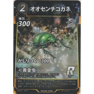 画像: オオセンチコガネ